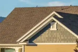 professional roof cleaning saves money